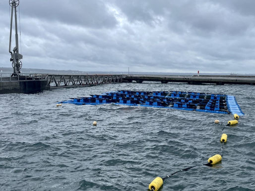 What Is a Floating Solar Power Plant?