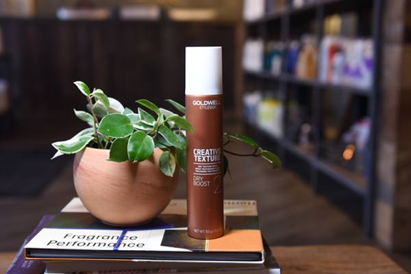 Goldwell Dry Boost 2