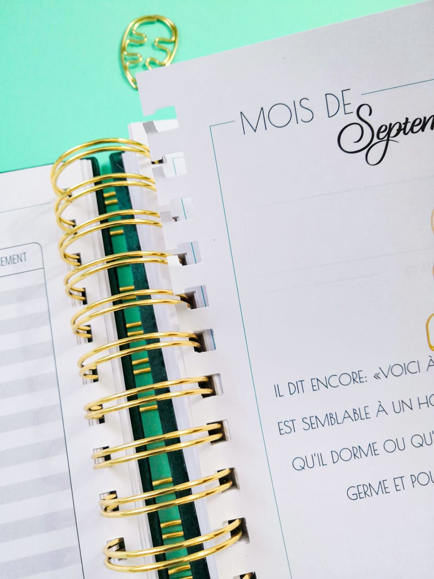 Miniature : Le Journal Hagah