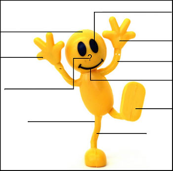 32körper