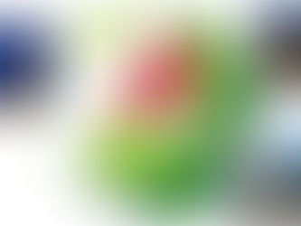 Übungen zum Thema Europa und Sprachen