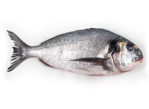 Dorada