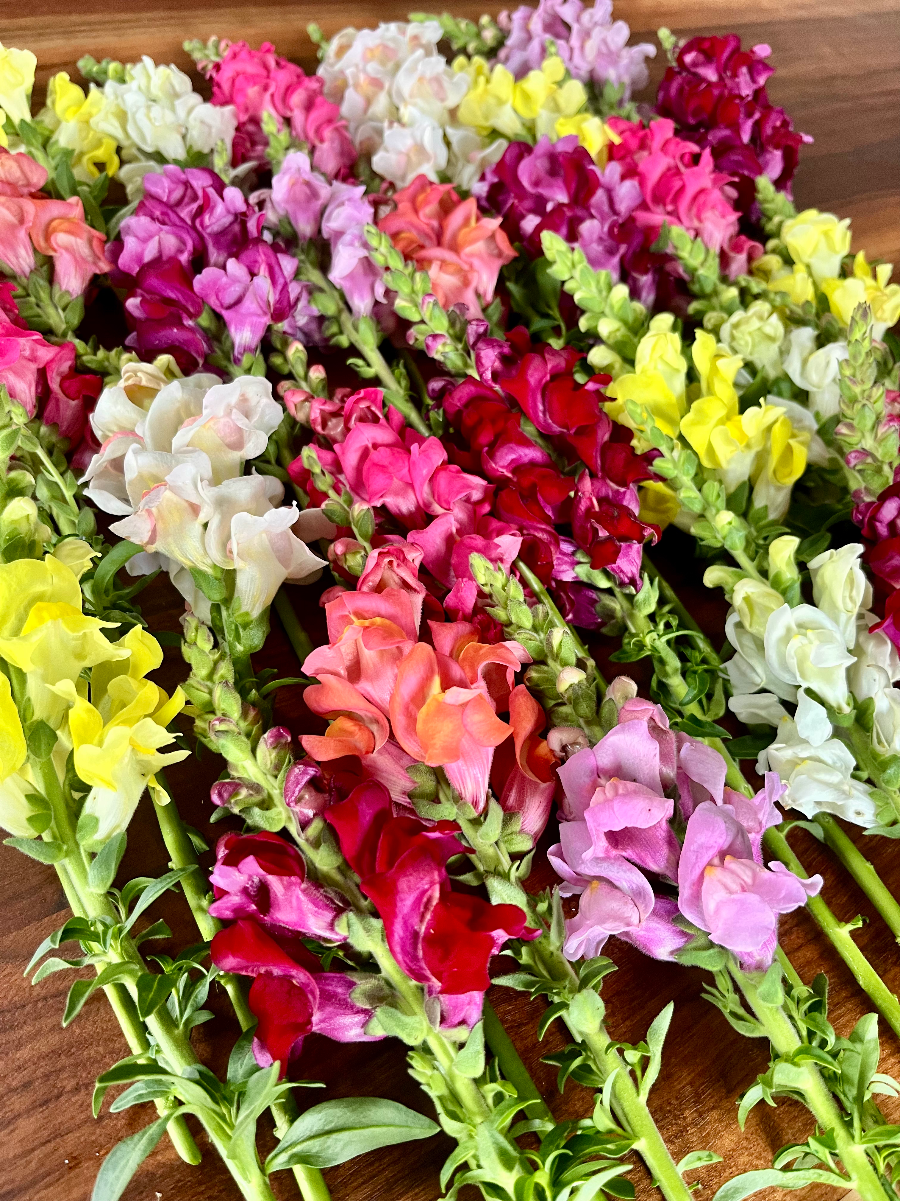 10 Stem Bunches