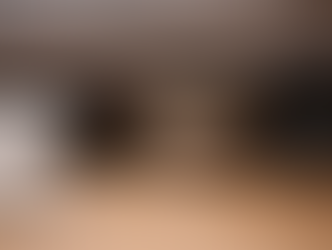 ビビり猫が「ここは安全」と思い始める瞬間の話