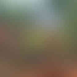 Workers building Masjid Al Kautsar foundation