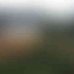 Newly built mosque in rural setting