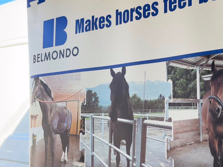 Štand tvrtke Animalogic i gumene podloge za konjušnice Belmondo by Kraiburg na Jumping Samobor