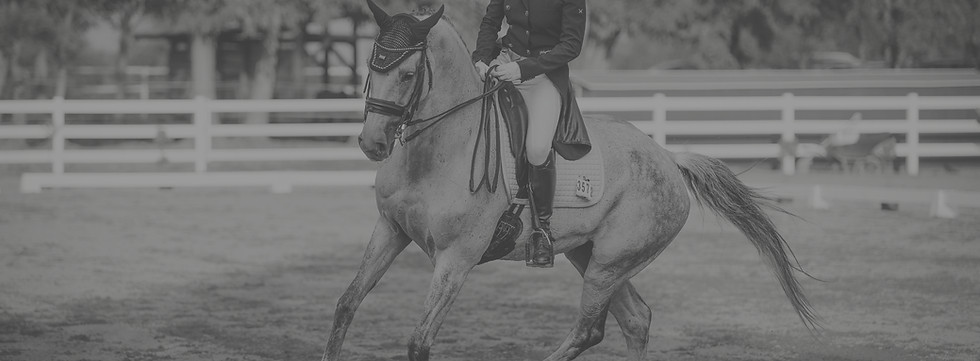 Pouzdana online trgovina za ljubitelje konja