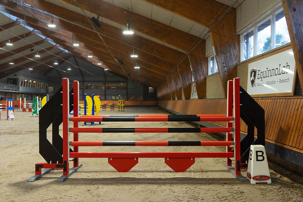 Kompletne prepreke za konje u setu - okser Geometric komplet.