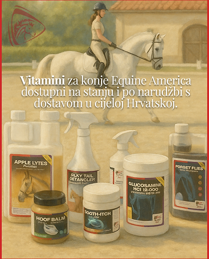 Kupujte vitamine za konje putem interneta, najbolji izbor.