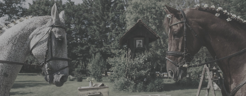 Gumena podloga za konjske boksove - smanjenje potrebe za steljom