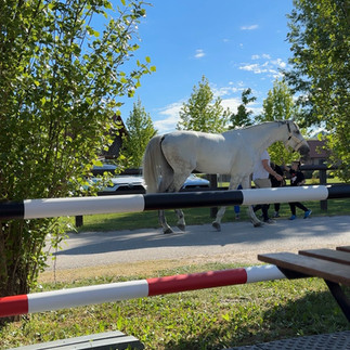 Jumping Samobor 2026 horse show jumping competition Zagreb