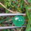 Thumbnail: Emeraude cabochon  2.32 carats
