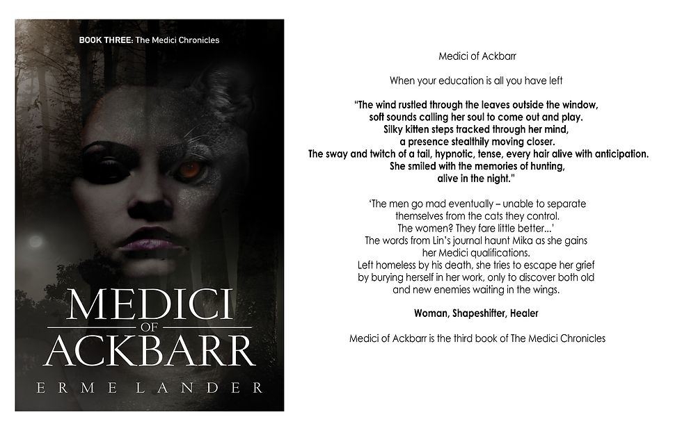 Medici of Ackbarr webpage.jpg