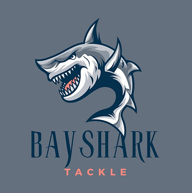 Image 23-10-2024 at 6.24 pm.jpeg