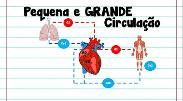 peq e gran circ.jpg