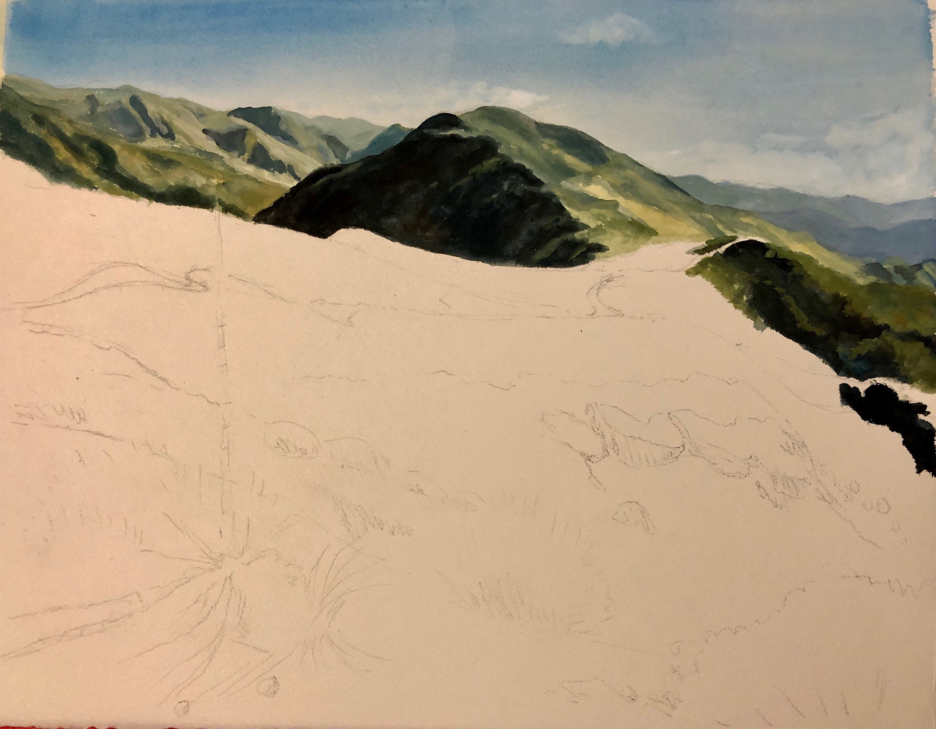 Step One: the beginning of a landscape painting