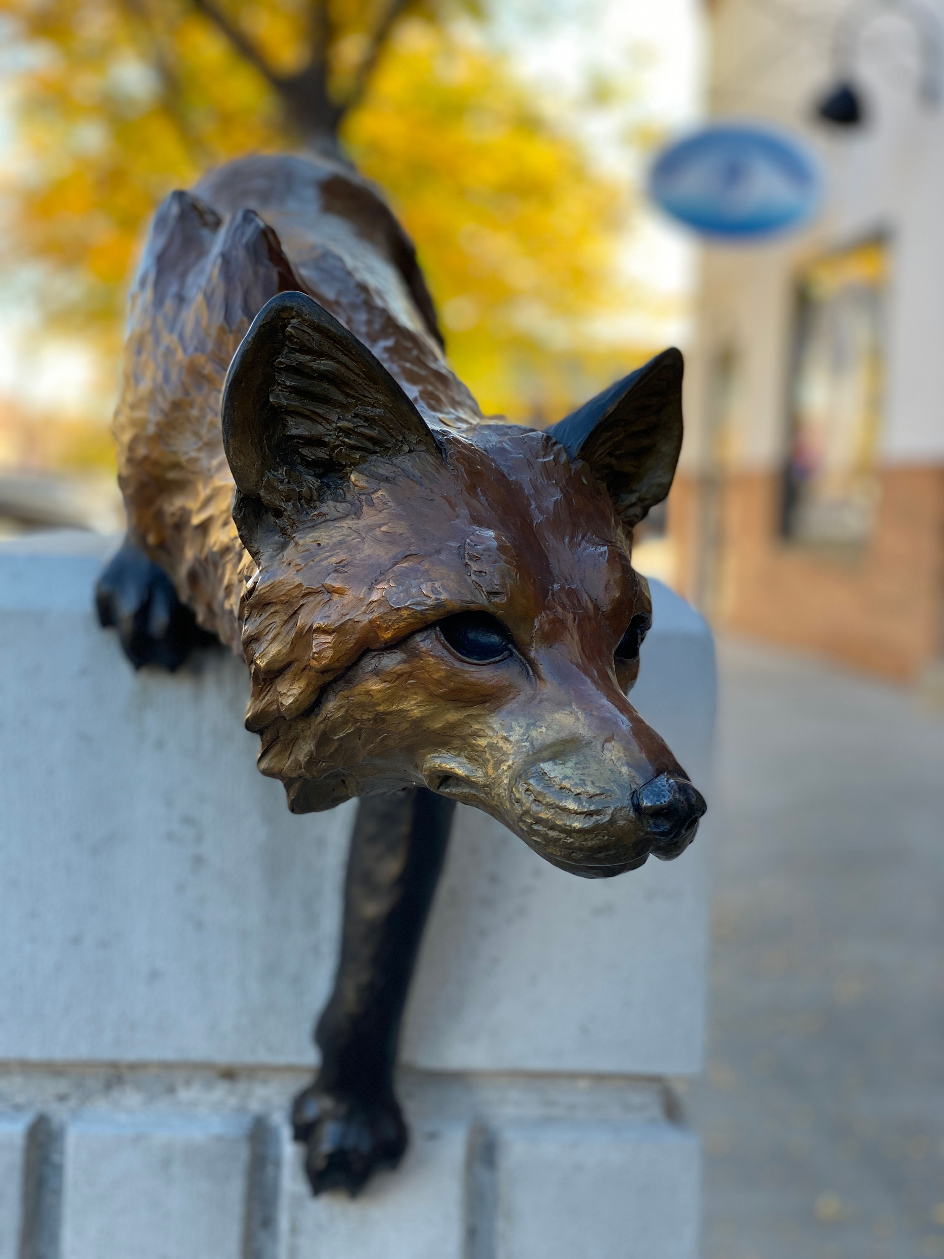 Large Stalking Fox by David Turner