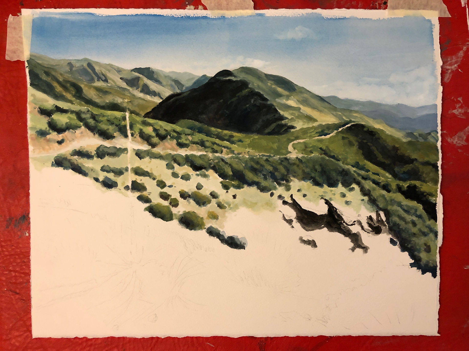 Step 2: the artist adds more detail to the shrubbery