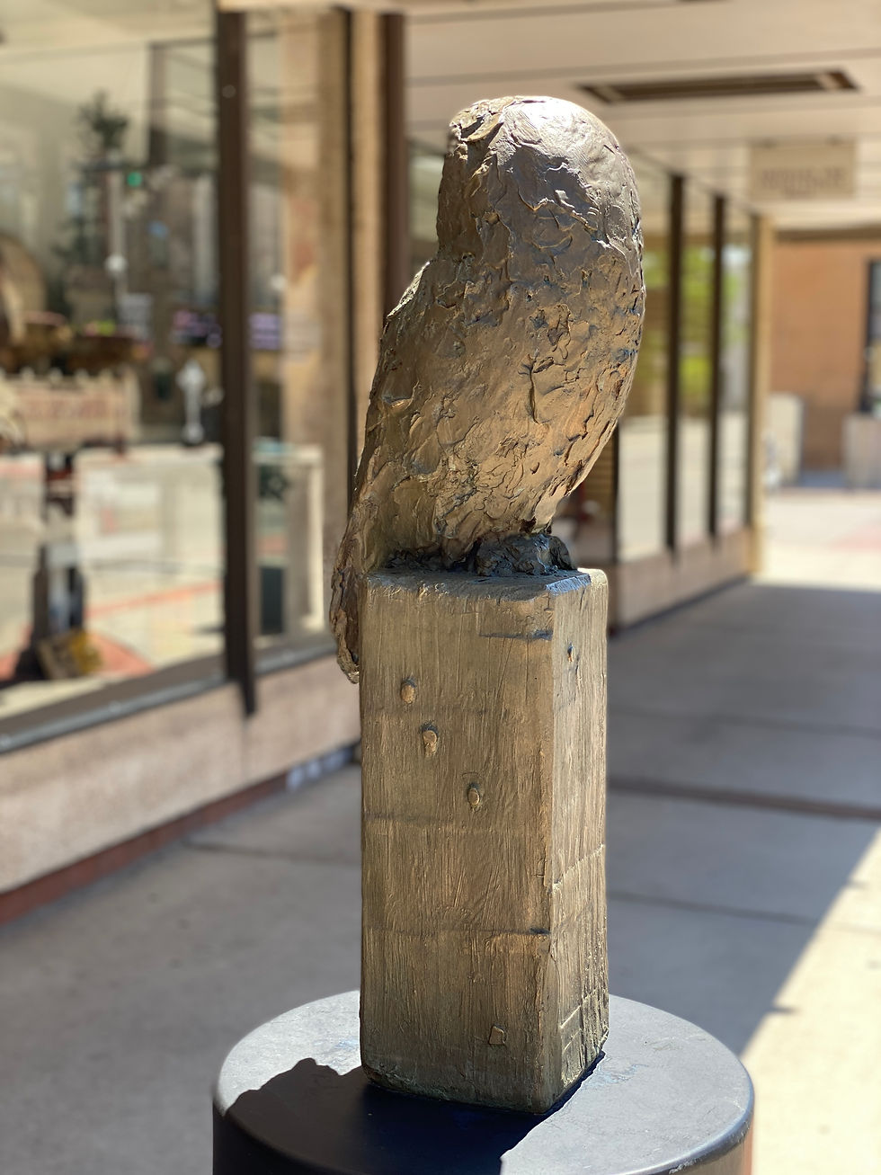 Thumbnail: Renegade  by Richard Burke