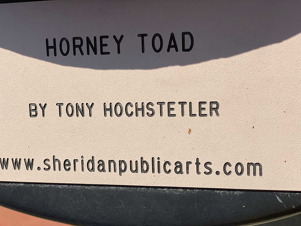 Thumbnail: Hunt for the Horned Toad  - Oliver by Tony Hochstetler