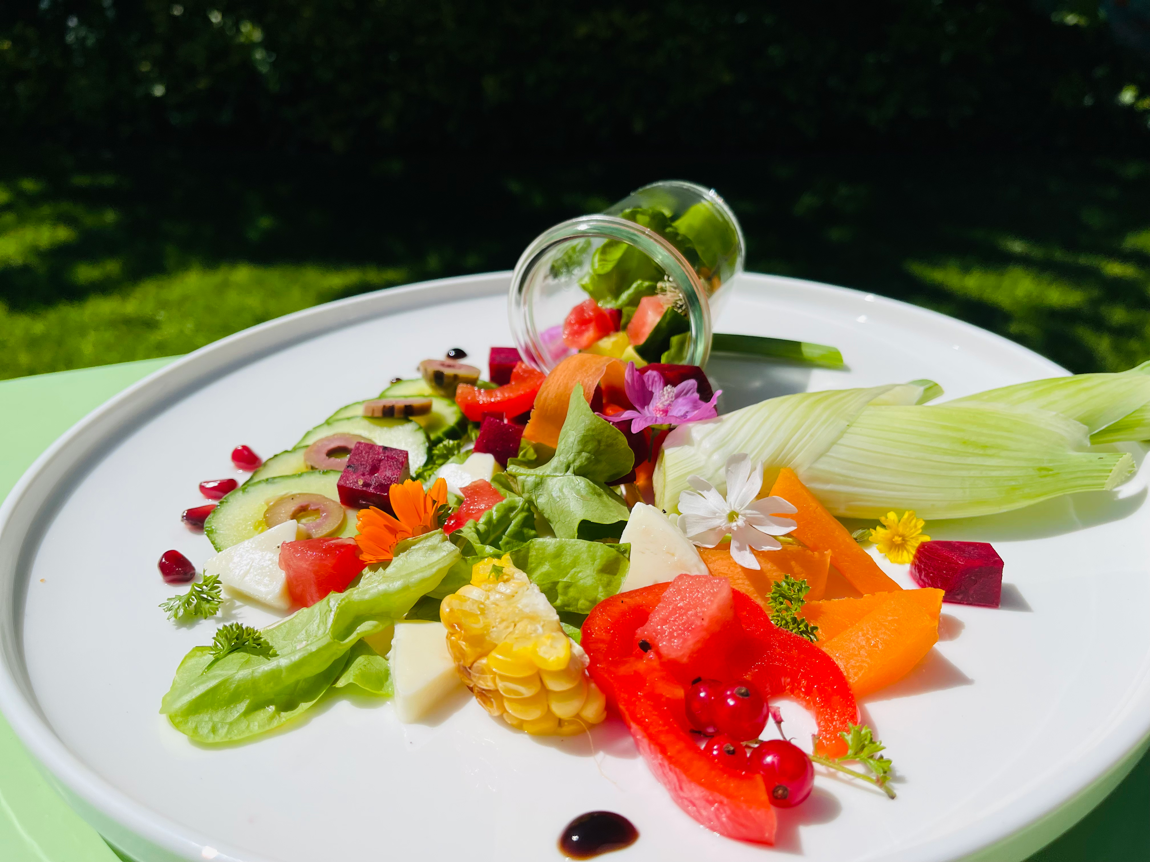 Kochkurs: 7 - Gänge Gourmetküche mit Rheinblick-l