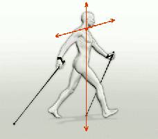 walker_torsion200.gif