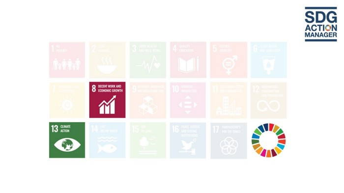 Insights from the SDG Action Manager: SDG modules already completed by CleanGreens Solutions SA, meaning that the company has answered all questions within these SDG modules.