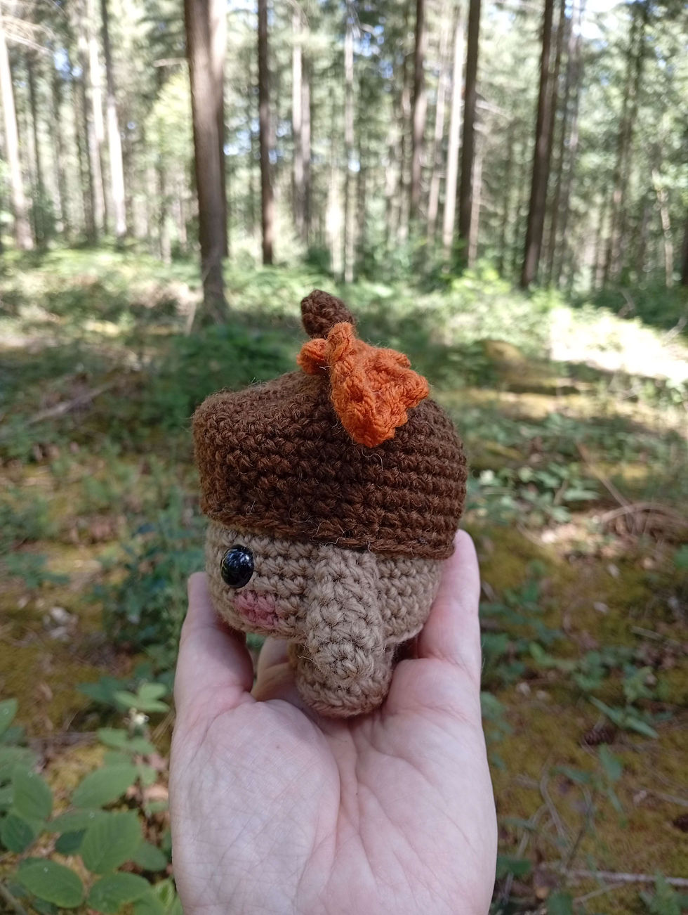 Thumbnail: Little Acorn