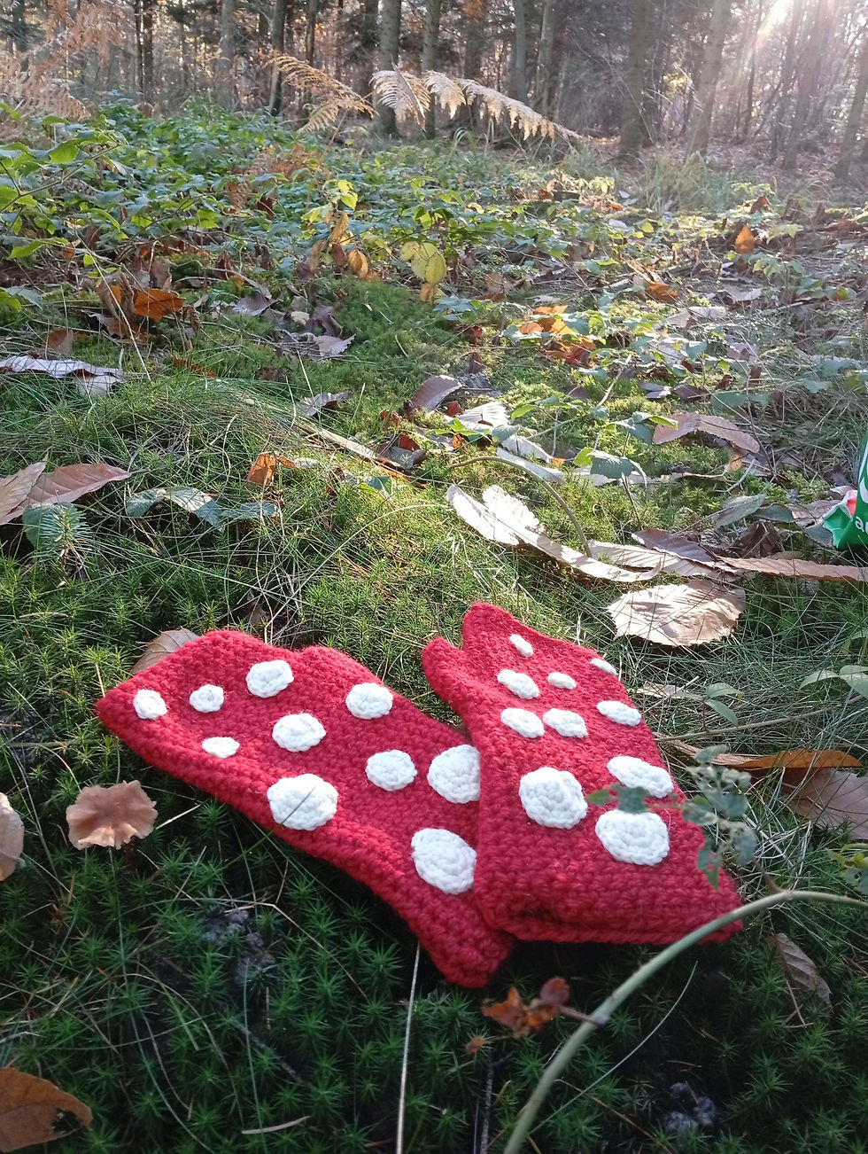 Thumbnail: Mushroom Mittens