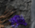 Branch Excavation Detail