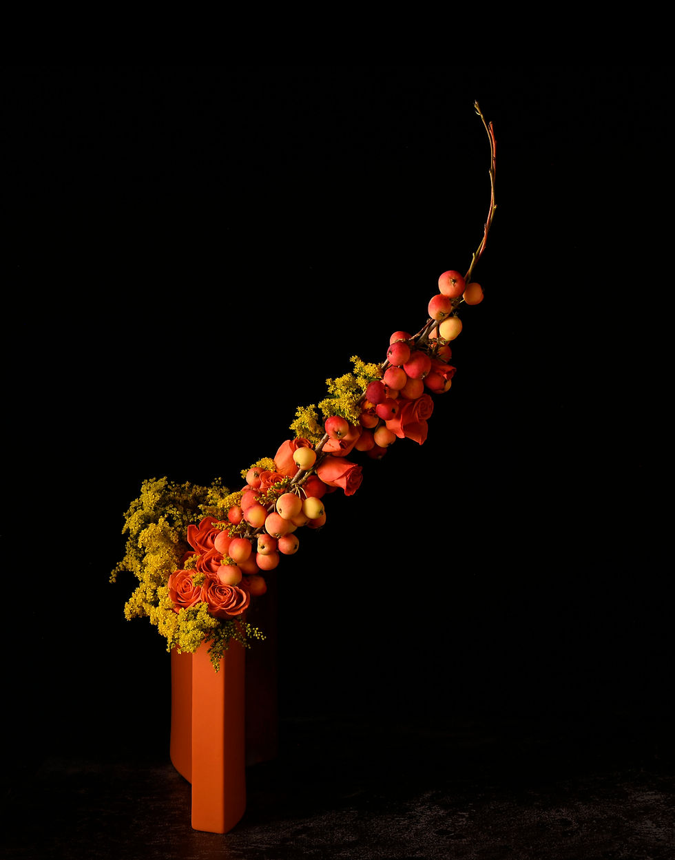 Fruiting Branch Class