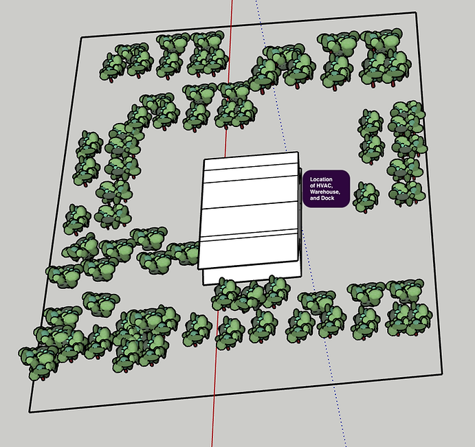 Final Tree Layout in relation to the building