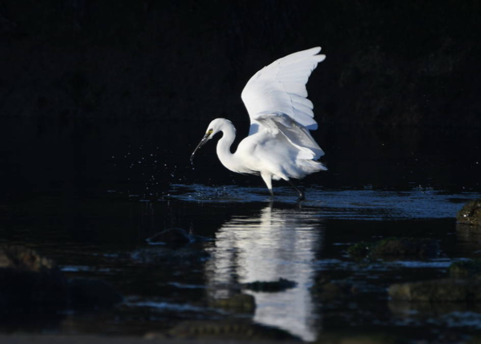 Photography Day Trip Paternoster Langebaan Velddrif