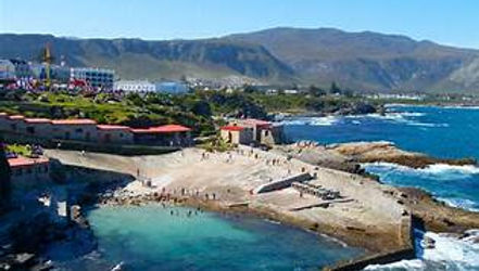 Marine Big 5 - Local Prices
Gansbaai