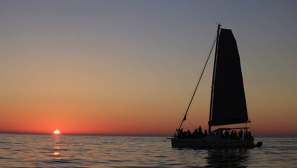 Sunset Boat Cruise. Escape Cat. Cape Town