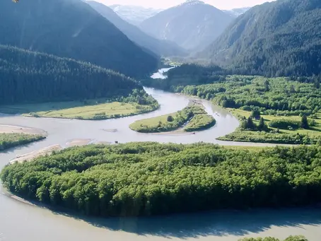 New KSM Briefer: Should we gamble salmon for gold?