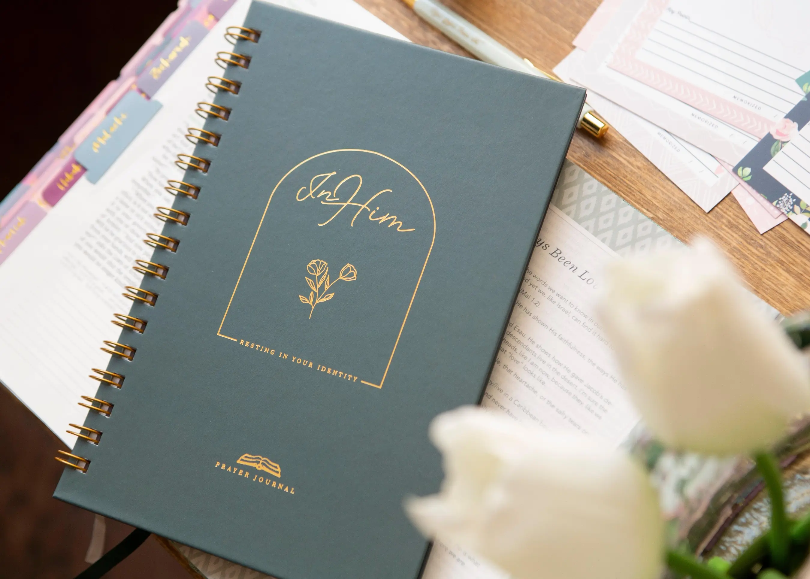 Identity in Christ, Journal