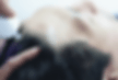 step2b.gif