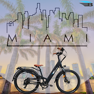 _BagiBike 1121.png