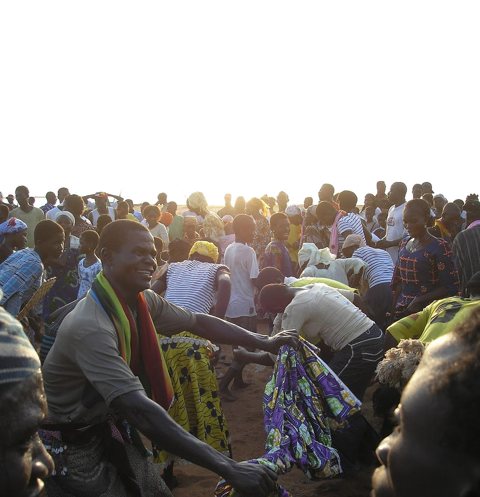 Photo Album Example: My latest photos from S. Africa