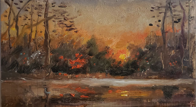 landscape-pic-4.jpeg