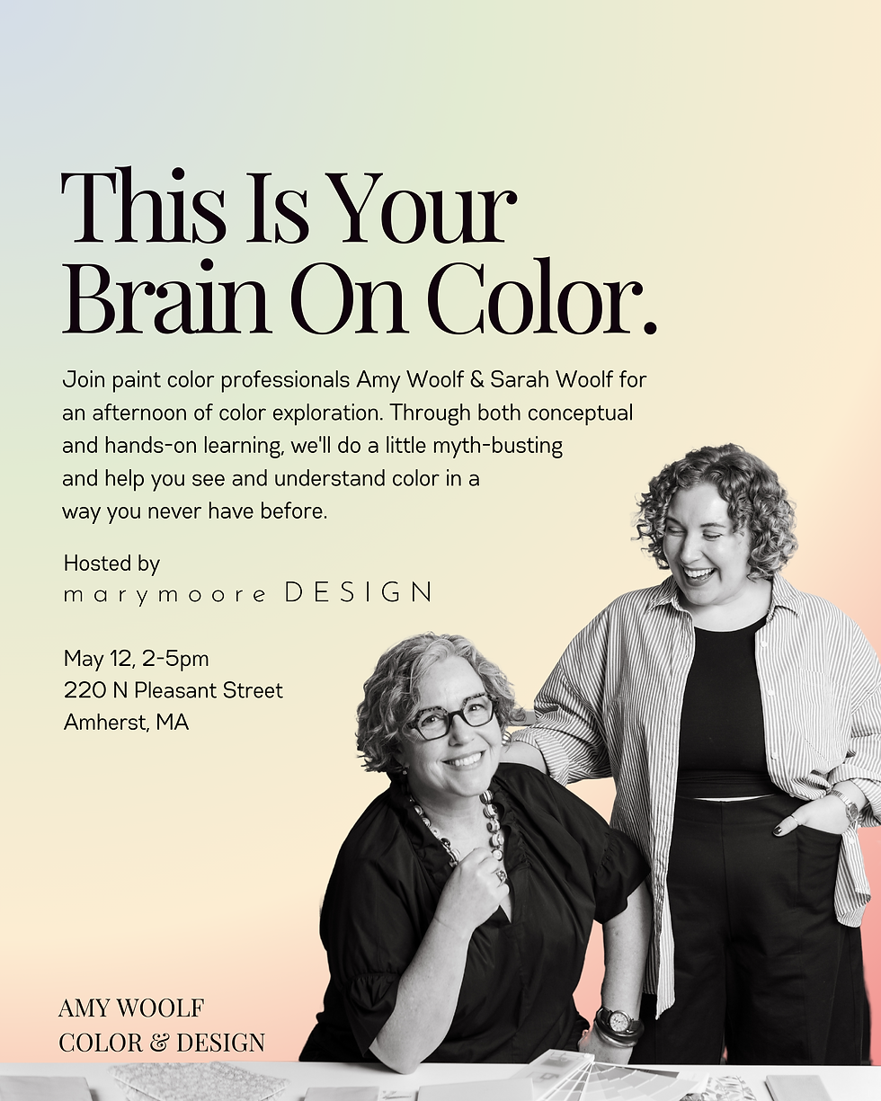 Amy woolf Sarah woolf color workshop western ma interior design education