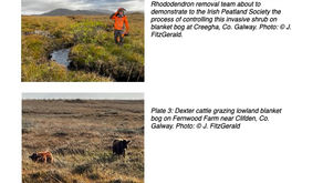 Agriculture and Peatlands 2025 Road Trip