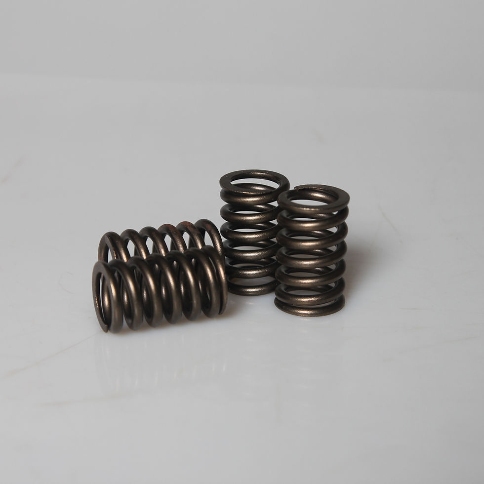 Thumbnail: Valve Spring Sonic Race