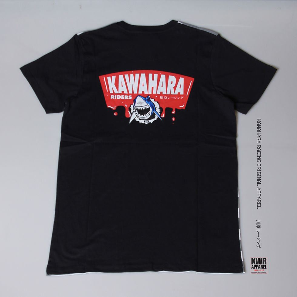 Thumbnail: KWH TS.237 Stripy Sharky