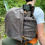 Thumbnail: Campcraft Rucksack