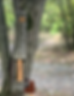 Thumbnail: Axe Sling, Waxed Canvas Ax carrier, Saw Bag, Campcraft Outdoors