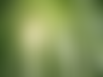 Holistic Health Tips: Embracing Natural Healing Practices