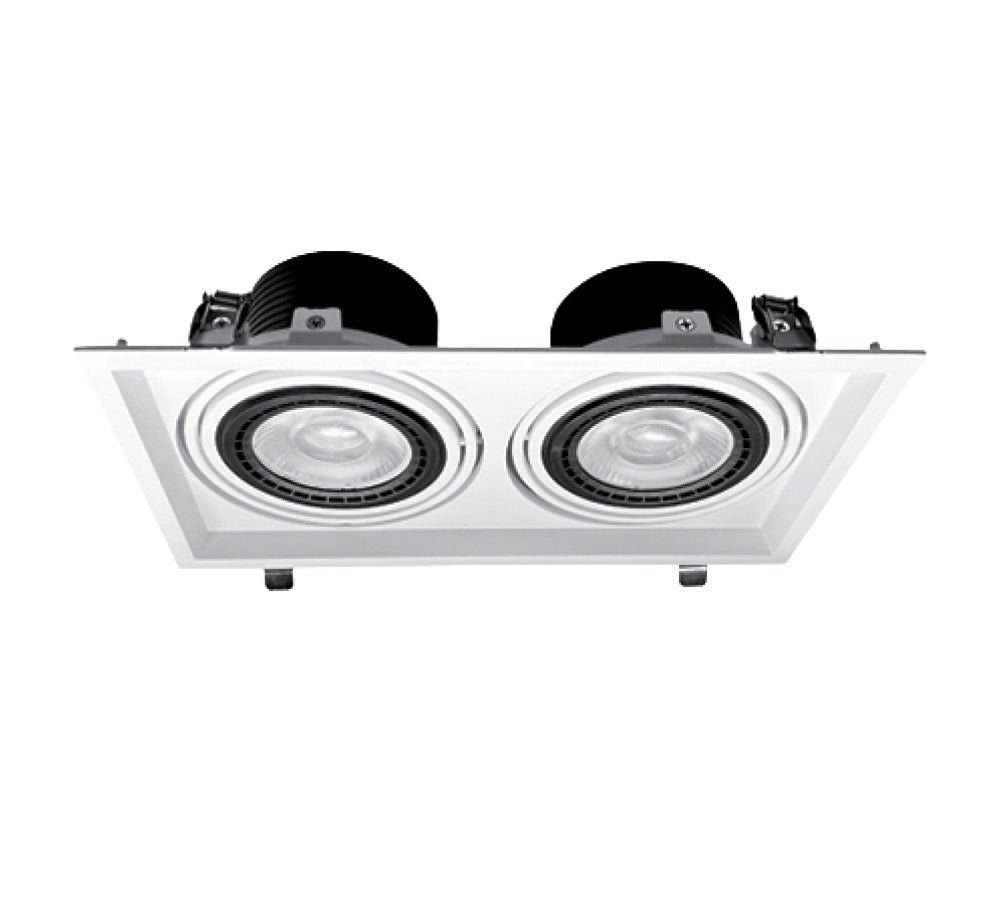 CCT 2*30W שקוע תקרה בלמי זוגי לבן